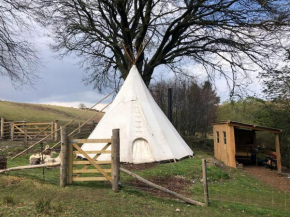 Thornworthy Tipi